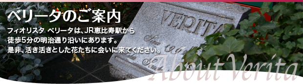 恵比寿の花屋　Fiorista VERITA フィオリスタ ベリータ